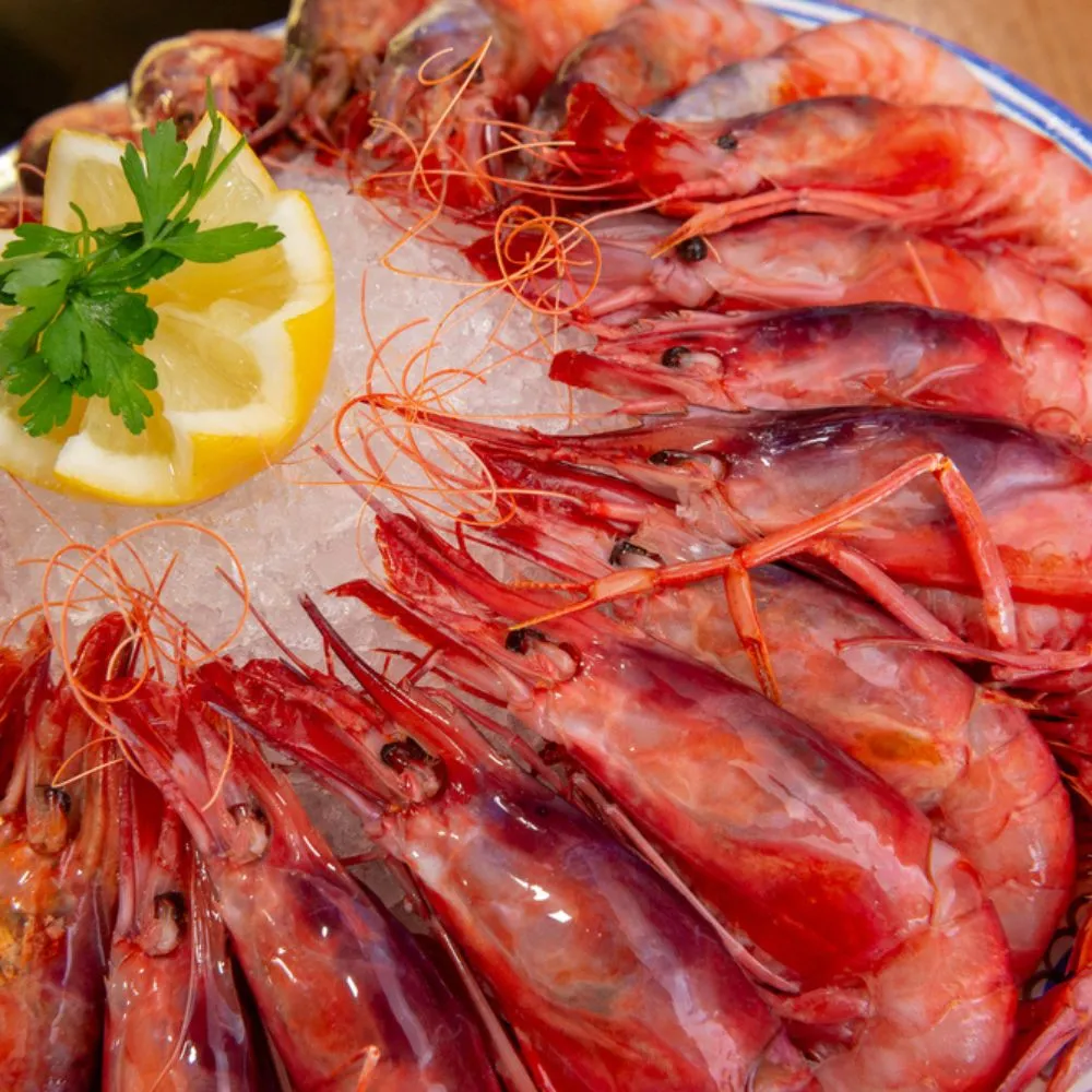 Gamba roja